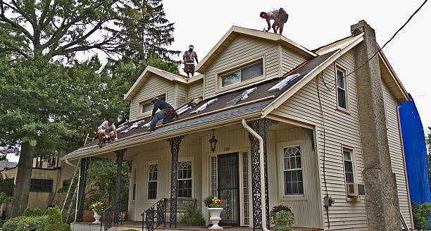 Best Shingle Roofing Installation  in South Brooksville, FL