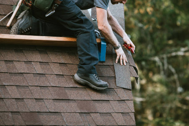 Roof Gutter Cleaning in South Brooksville, FL